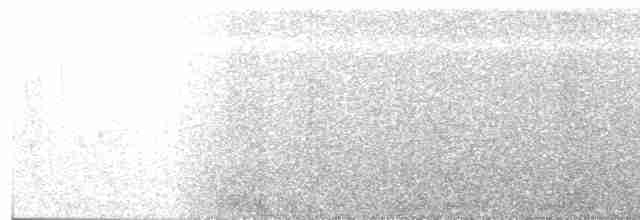Cerulean Warbler - ML619564789