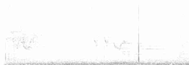 svartbrystparula - ML619565830