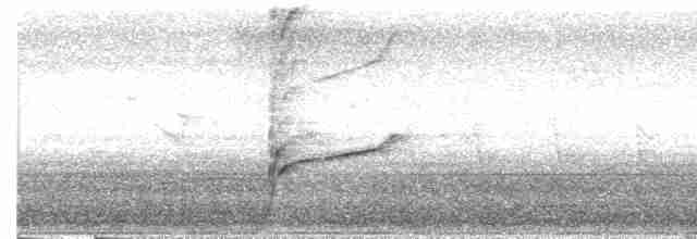 strakapoud velký [skupina major] - ML619566234