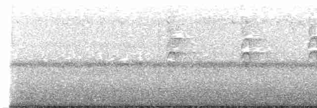Новозеландская веерохвостка - ML619566277