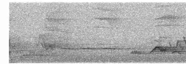 Дрізд-короткодзьоб Cвенсона - ML619566732