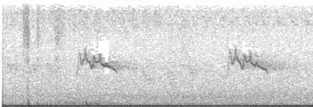 Graumantel-Brillenvogel - ML619566817