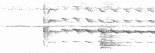 Чернохохлый дятлик - ML619567268