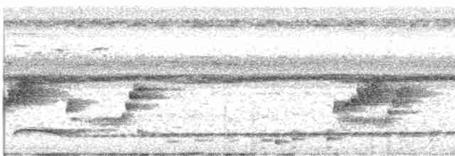 Яванский рогоклюв - ML619567282