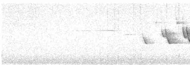Дроздовый певун - ML619567345