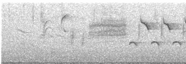 Длиннохвостый крапивник - ML619567900
