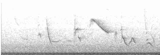 Oriole des vergers - ML619568197