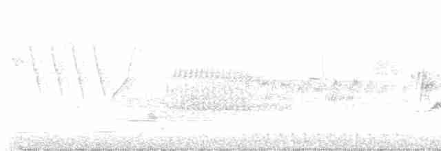 Черногорлая хвойница - ML619568326