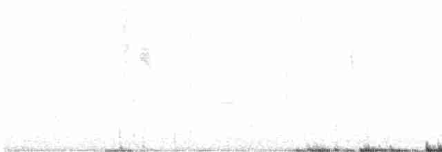 Кузнечиковая овсянка-барсучок - ML619568593