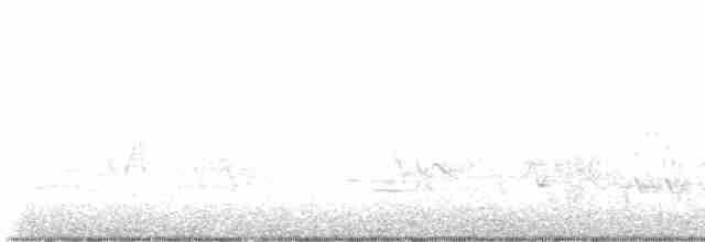 svartbrystparula - ML619568749