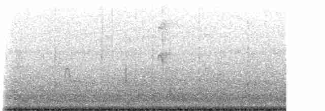 Kara Karınlı Islıkçı Ördek - ML619568832