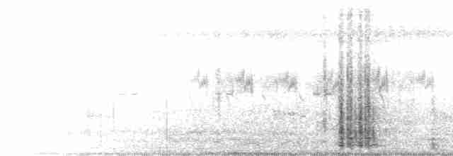 褐頭鷦鶯 - ML619568970