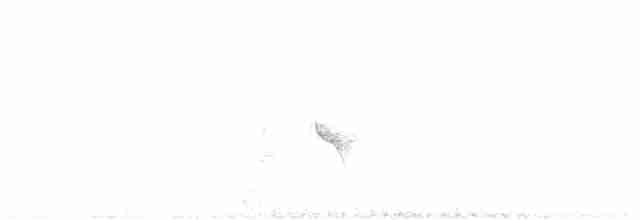 Evening Grosbeak (type 2) - ML619568990