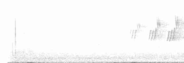 Черногорлая хвойница - ML619569000