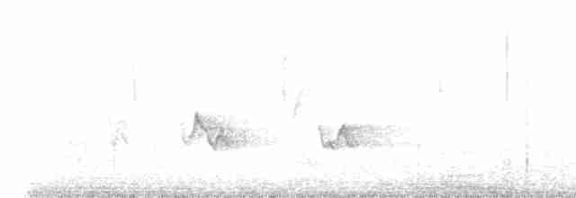 Красноглазый виреон - ML619569084
