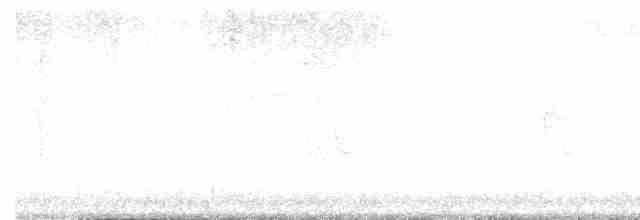 Oriole des vergers - ML619569114