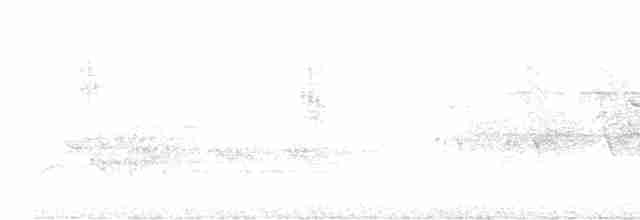 Paruline vermivore - ML619569244