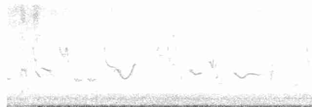 Oriole des vergers - ML619569348