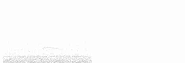 Золотистая ржанка - ML619569710