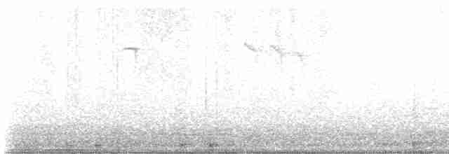 Gözlüklü Baştankara - ML619569760