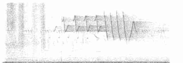 gulparula (aestiva gr.) - ML619570067