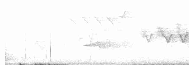 Cerulean Warbler - ML619570216