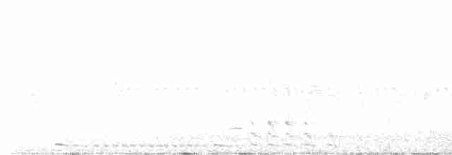 Texasnachtschwalbe - ML619570258