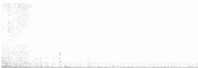 Texasnachtschwalbe - ML619570517