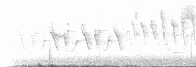 Zostérops de Swinhoe - ML619570601