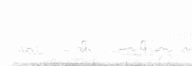 Fleckengrundammer - ML619570624