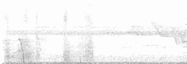 Чернокрылая пиранга - ML619570890