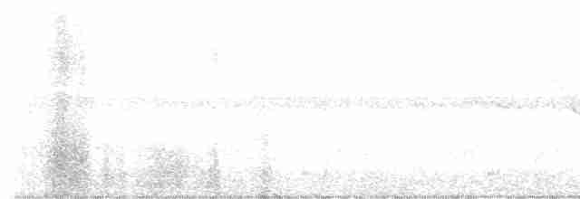 Трясогузковый певун - ML619570913
