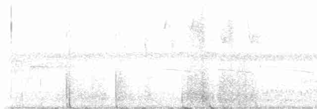 Трясогузковый певун - ML619570915