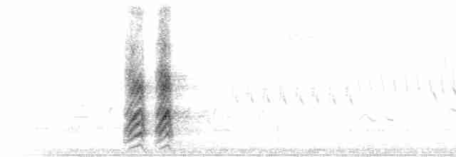 Kara Gagalı Saksağan - ML619571254