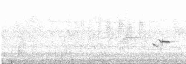 Oriole des vergers - ML619571293