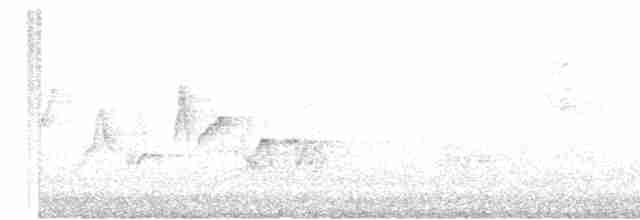 Warbling Vireo (Western) - ML619571446