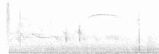 Дрізд-короткодзьоб плямистоволий - ML619571655