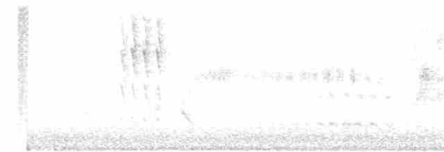 Kara Boğazlı Kolibri - ML619571684