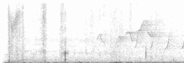 Paruline à capuchon - ML619571701
