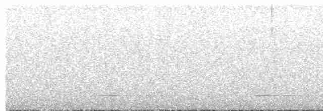 Сичик-горобець євразійський - ML619571702