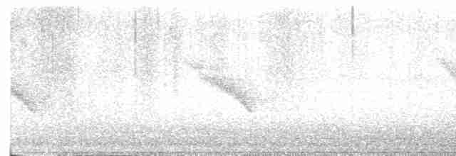 Віреон короткодзьобий - ML619571767