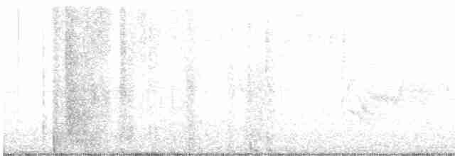 White-eyed Vireo - ML619571768