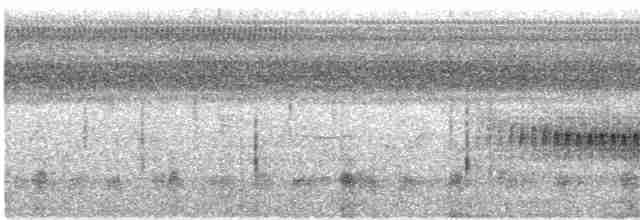 Серогрудый коростелёк - ML619572247