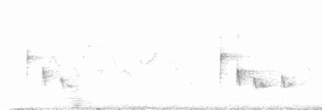 Piranga vermillon - ML619572452