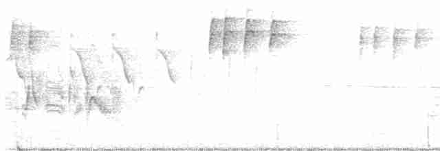 Віреон короткокрилий - ML619572556