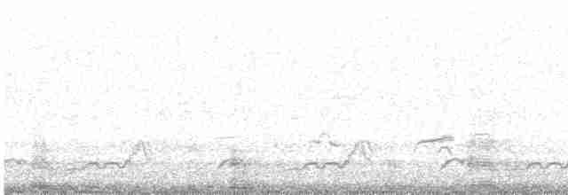 Schwarzkehl-Nachtschwalbe - ML619573073