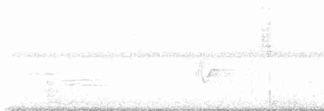 Kentucky Warbler - ML619573322