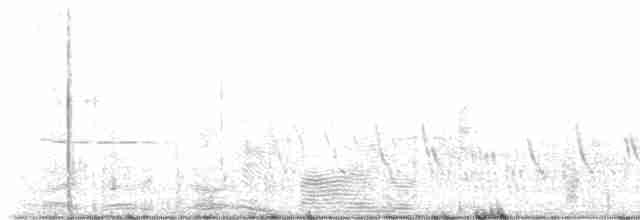 Golondrina Purpúrea - ML619573369