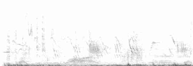Büyük Mor Kırlangıç - ML619573384