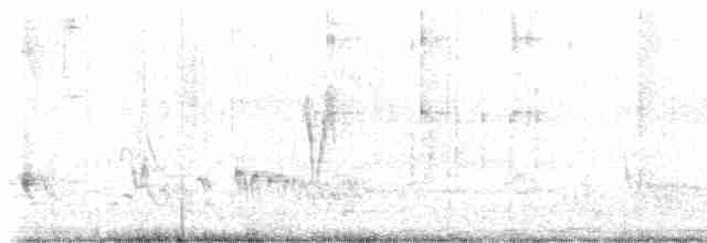 Büyük Mor Kırlangıç - ML619573394